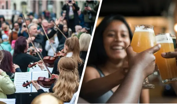 colleagues toast with beer and orchesta